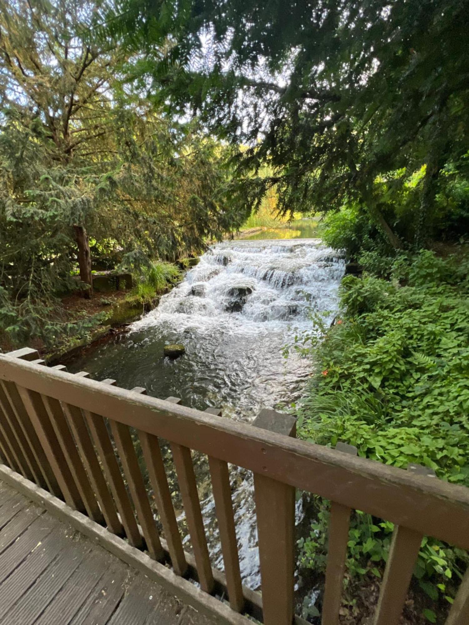 Cosy Private Flat In London, Free Parking On Premise Leilighet Carshalton Eksteriør bilde
